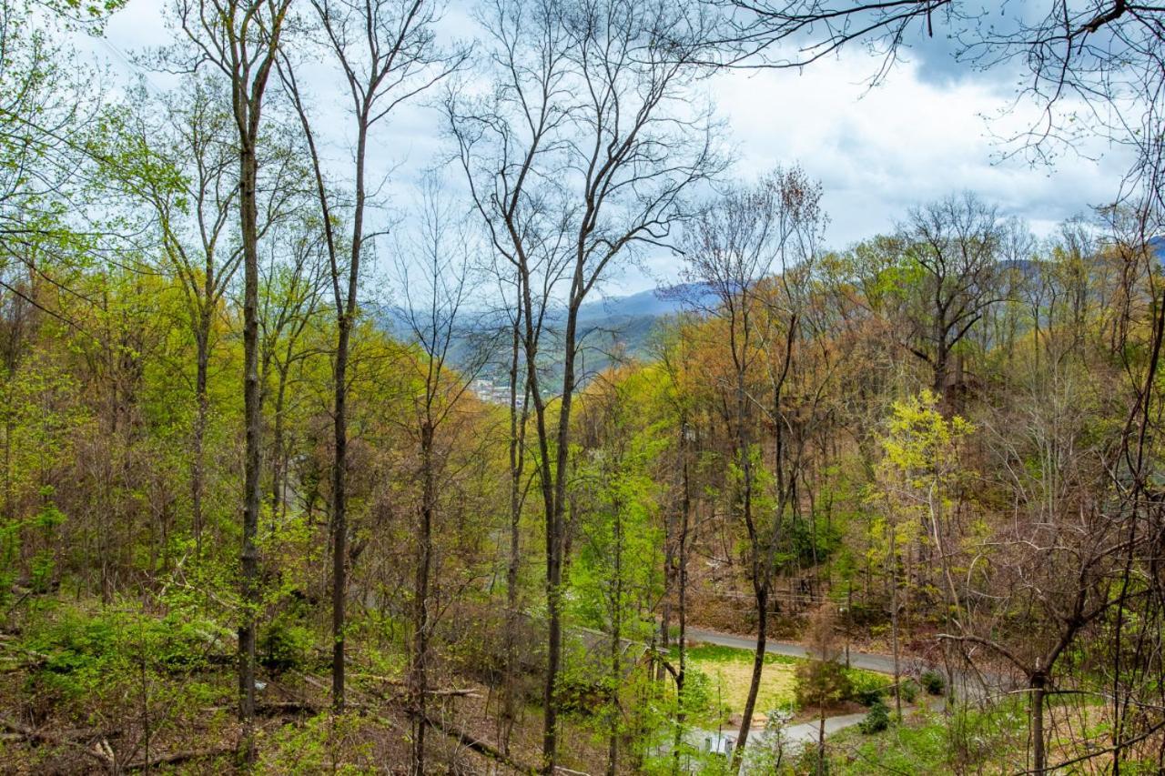 Bear Crossing Mtn View Game Room Gatlinburg Εξωτερικό φωτογραφία